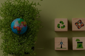 wepik-20240209062056BdYx-1